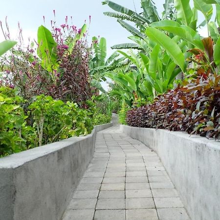 Rendira Villa 2 Ubud  Ngoại thất bức ảnh