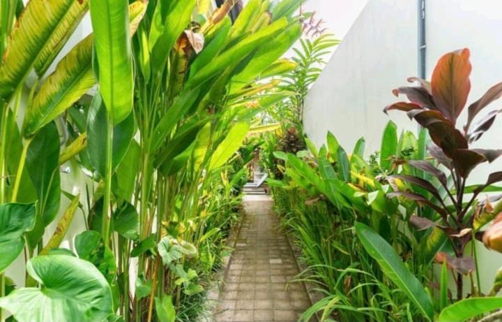 Rendira Villa 2 Ubud  Ngoại thất bức ảnh